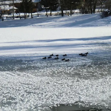 Lejlighed In Stubaital Near Lift, Cleaning Included